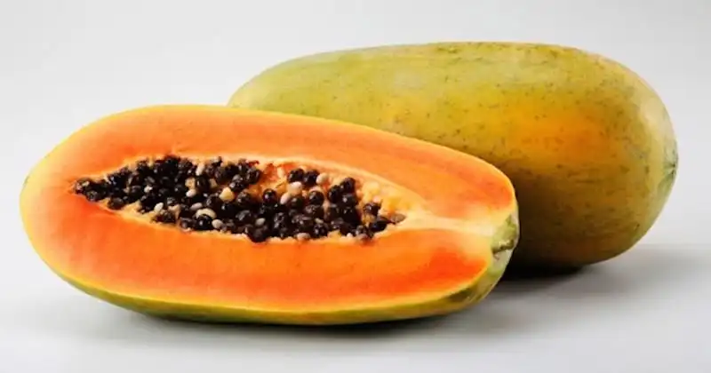 Pepaya Mengandung Enzim Papain, Ini Perannya dalam Pengolahan Protein