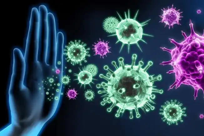 Fakta Unik Sistem Imun: Cara Tubuh Melawan Penyakit Setiap Hari