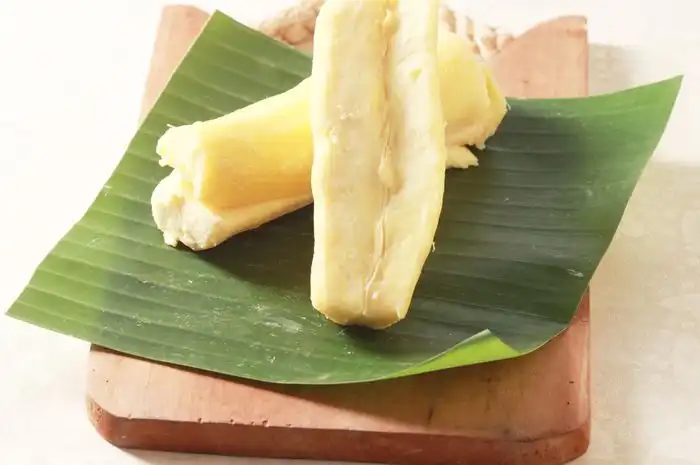 Cara Mengatasi Tape yang Keras: Panduan Praktis untuk Pemula