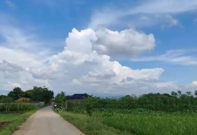 Prakiraan Cuaca BMKG 26 Oktober 2026: Sebagian Besar Kota di Jawa Diguyur Hujan