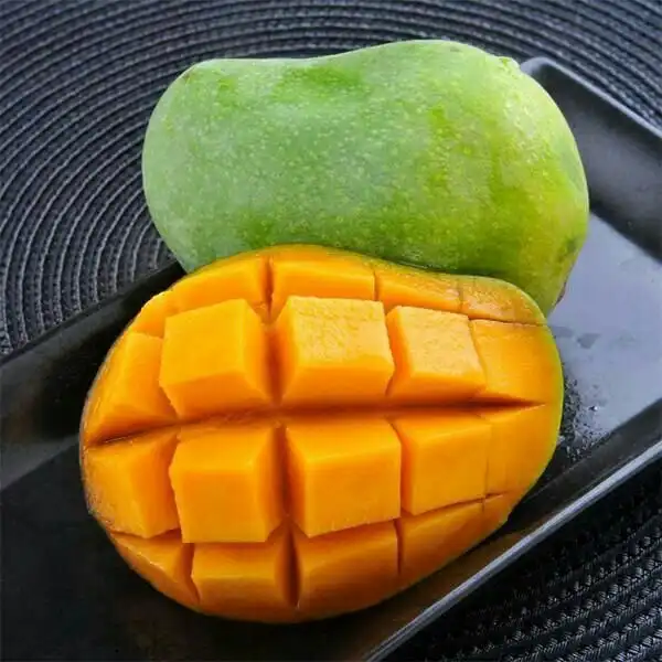Mangga Terasa Masam, Padahal Sudah Berwarna Kuning? Ini Penyebabnya