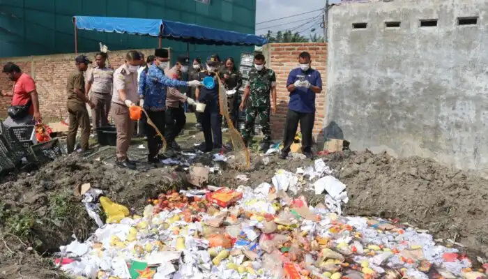 Karantina Sumut Musnahkan 5 Ton Mangga Impor Ilegal Jelang Lebaran