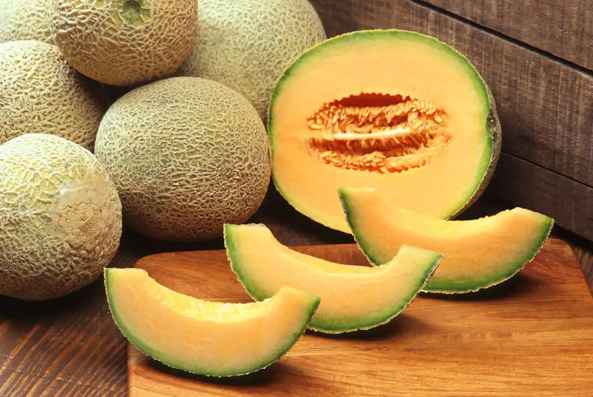 Melon Terasa Hambar Meski Sudah Matang, Faktor Apa yang Memengaruhinya?