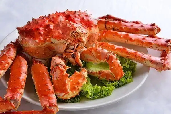 Baik untuk Kulit, Ini 5 Hewan Laut yang Mengandung Kolagen