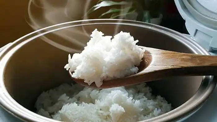 Mengapa Nasi yang Baru Matang Mengeluarkan Banyak Uap? Ini Penjelasan Ilmiahnya