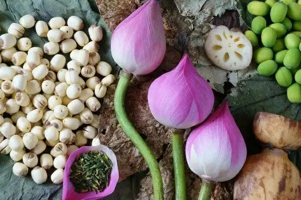 Manfaat Biji Teratai yang Jarang Diketahui, Kecil Namun Kaya Nutrisi