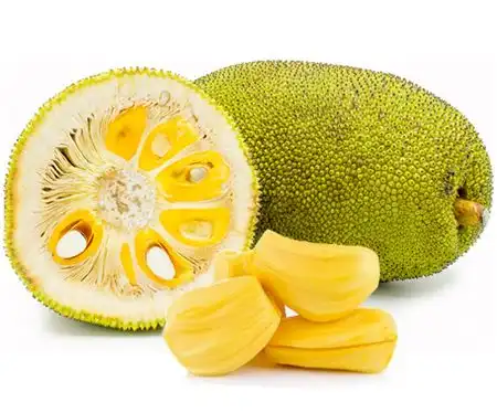 Apakah Makan Buah Nangka Sebelum Makan Nasi Bisa Menyebabkan Sakit Perut?