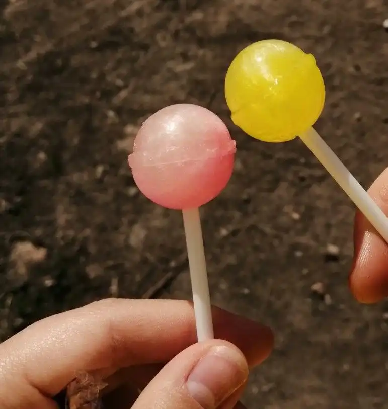 Mengapa Permen Terasa Sangat Manis, tetapi Buah Tidak Selalu Demikian? Ini Penyebabnya
