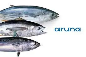 Biar Nggak Kena Tipu Abang Warteg: Panduan Bedain Tuna, Tongkol, dan Cakalang Biar Nggak Malu-maluin