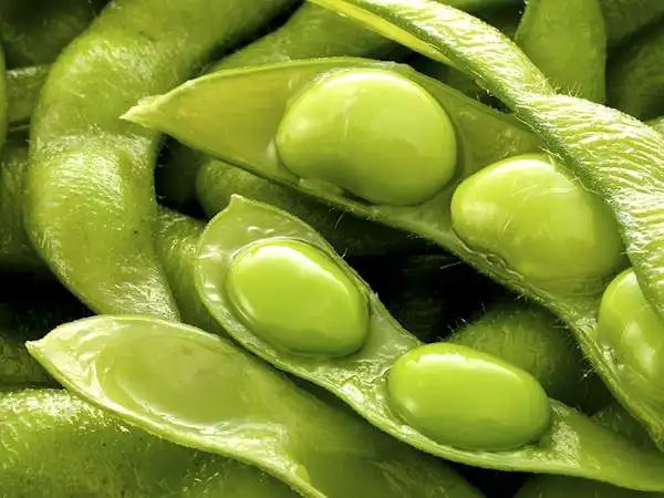 Lagi Ngidam Makanan Asin? Ini 5 Camilan Gurih yang Lebih Sehat untuk Dicoba