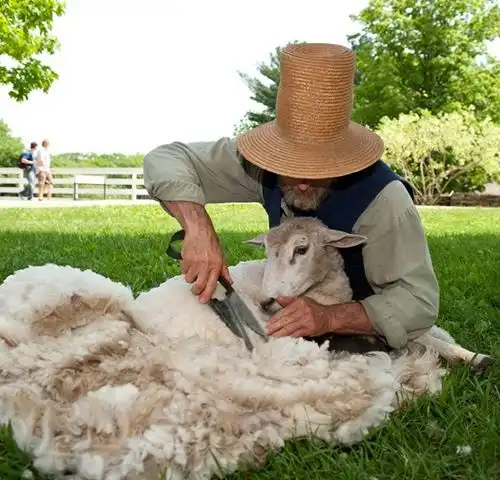 Dari Bulu Kambing Anggora Menjadi Benang, Mengenal Serat Mohair