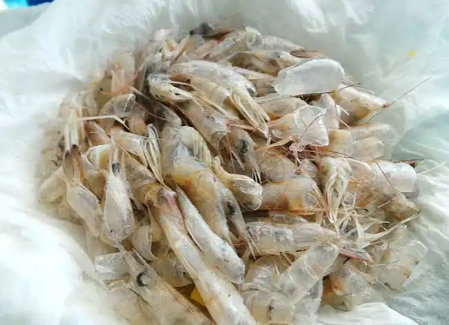 Kulit Udang Sering Dibuang, Padahal Bisa Dimanfaatkan untuk Berbagai Olahan