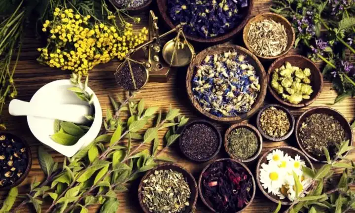 Mitos atau Fakta: Semua Obat Herbal Pasti Aman? Ini Penjelasan yang Perlu Diketahui