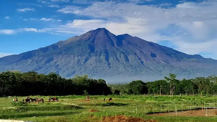 Mengapa Tanah di Sekitar Gunung Berapi Bisa Sangat Subur?