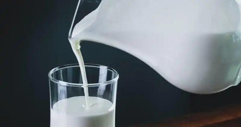 Apakah Minum Susu Sebelum Tidur Baik untuk Tubuh? Ini Manfaat dan Risikonya