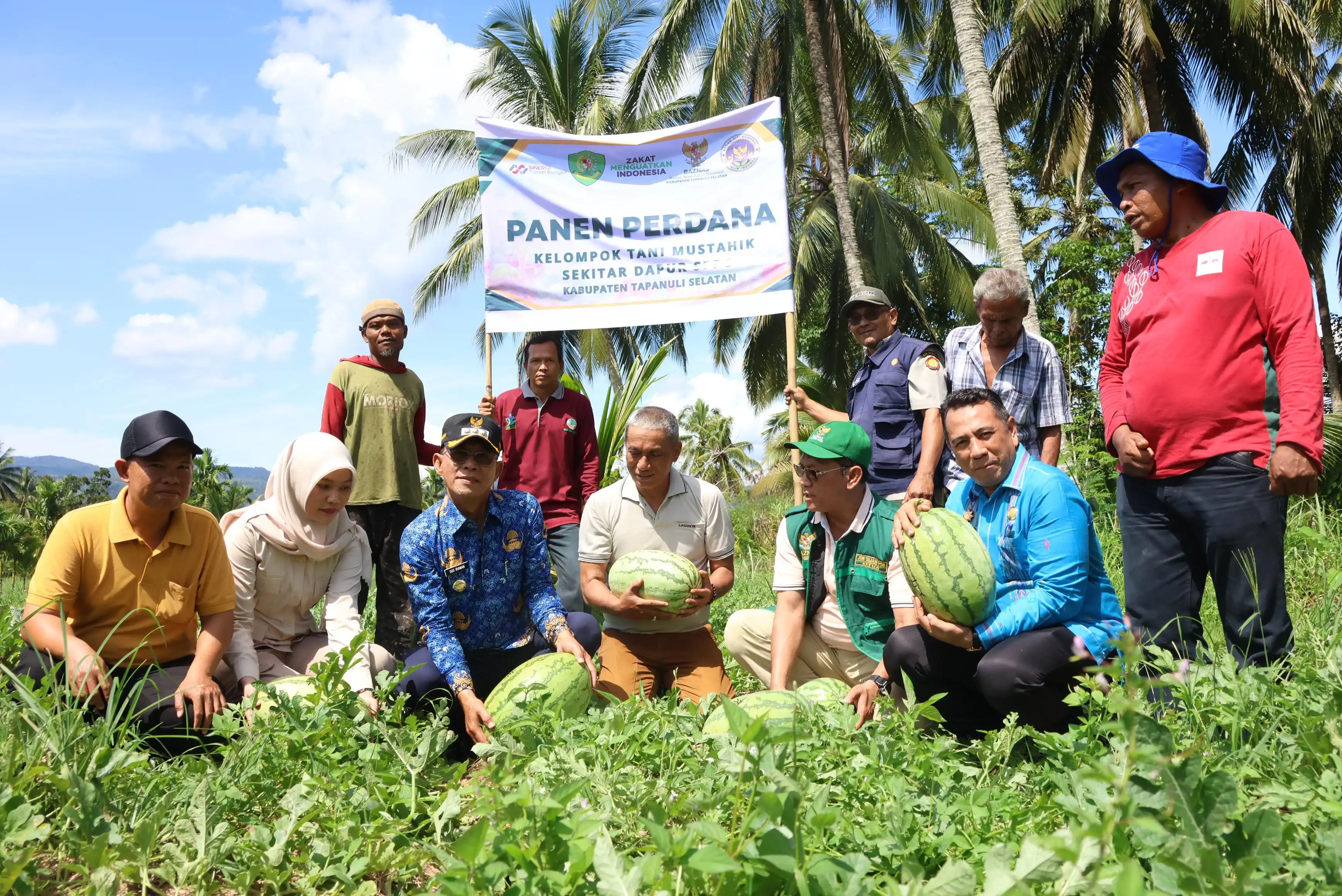 Panen Perdana Semangka Kelompok Tani Mustahik Binaan BAZNAS Tapsel Dukung Kebutuhan SPPG