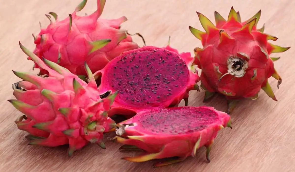 Inovasi Kulit Buah Naga: Ubah Limbah Jadi Produk Bernilai Tinggi