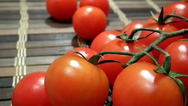 Dari Stroberi hingga Lemon, Buah-Buahan Ini Cocok Tumbuh dalam Pot