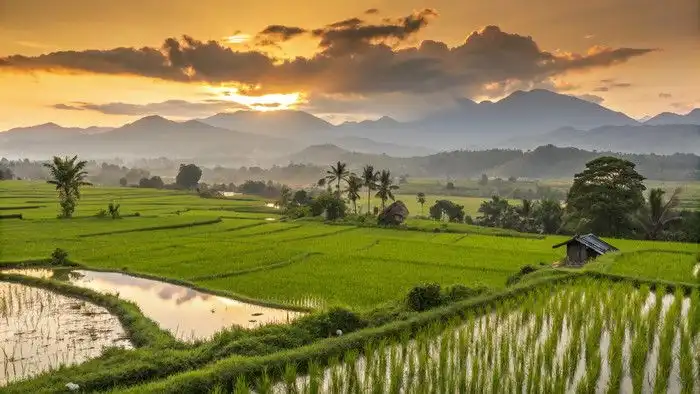 Mengapa Pemandangan Alam Bisa Membuat Pikiran Lebih Tenang?