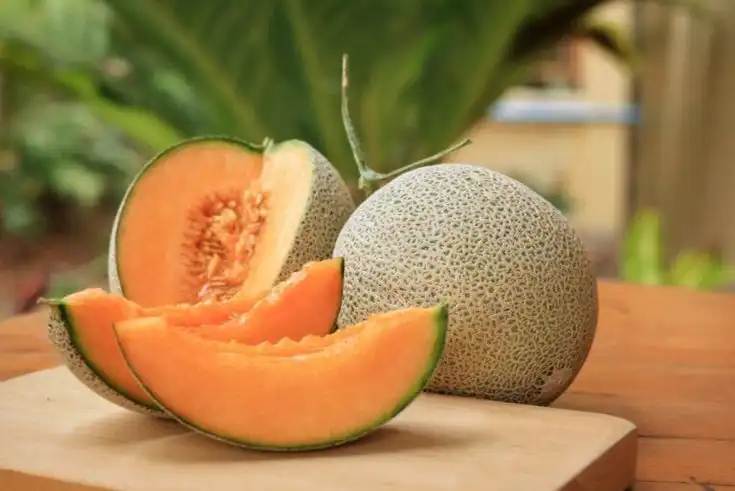 Mengapa Daging Buah Melon Bisa Terasa Hambar Meski Sudah Matang?