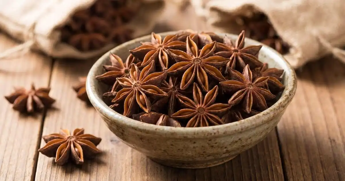 Kenapa Bunga Lawang Berbentuk Bintang? Mengenal Asal, Aroma, dan Perjalanan Rempah Unik Ini