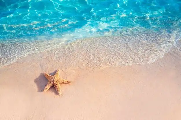 Rahasia di Balik Warna-warni Pasir Pantai yang Estetik