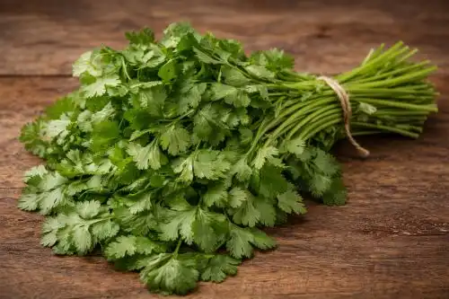 Daun Seledri Tak Hanya untuk Masakan, Ada Beragam Cara Memanfaatkannya