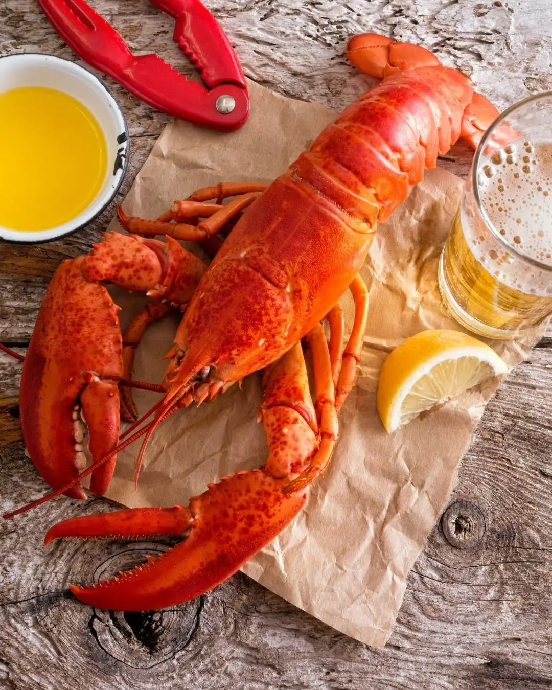 Mengapa Harga Lobster Semakin Mahal dan Apa Bedanya dengan Dulu