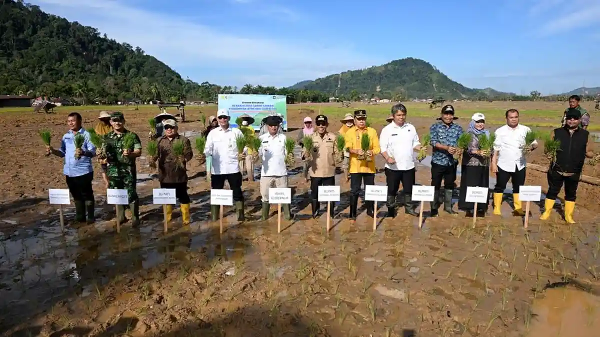 Rehabilitasi Sawah Terdampak Bencana di Sumut Dimulai Serentak