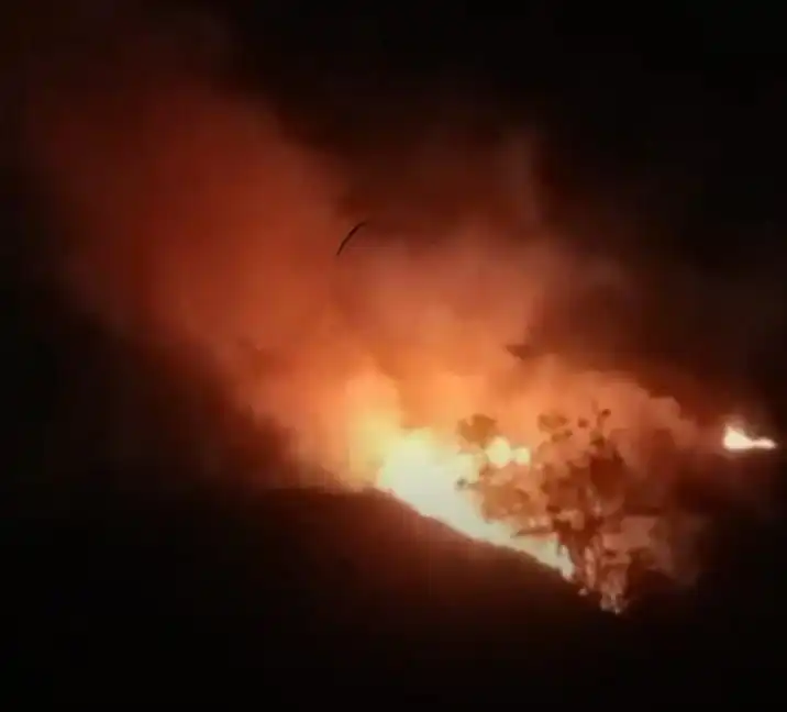 Kebakaran Bukit di Pinangsori Tapanuli Tengah, Api Cepat Menyebar akibat Angin Kencang