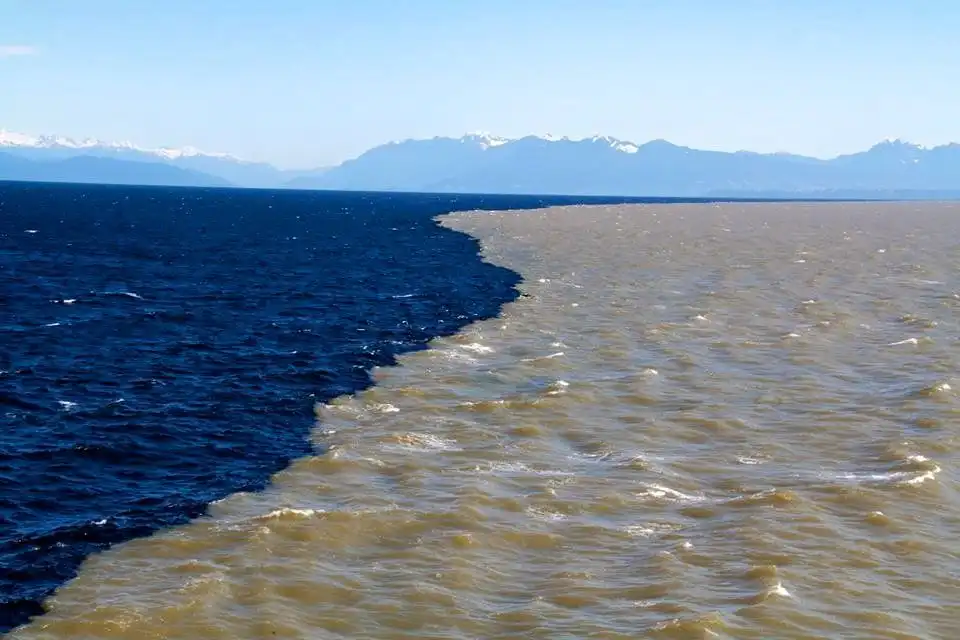 Mengapa Air Sungai Tawar, Sedangkan Air Laut Terasa Asin? Ini Penjelasan Ilmiahnya
