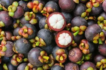 Rahasia Manggis Mengapa Ia Dijuluki Sebagai Ratu Buah