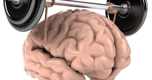 Sering Lupa di Usia Muda? Kenali Penyebab Brain Fog dan Cara Mengatasinya