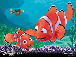 Mengungkap Kebenaran Biologi Ikan Badut Finding Nemo