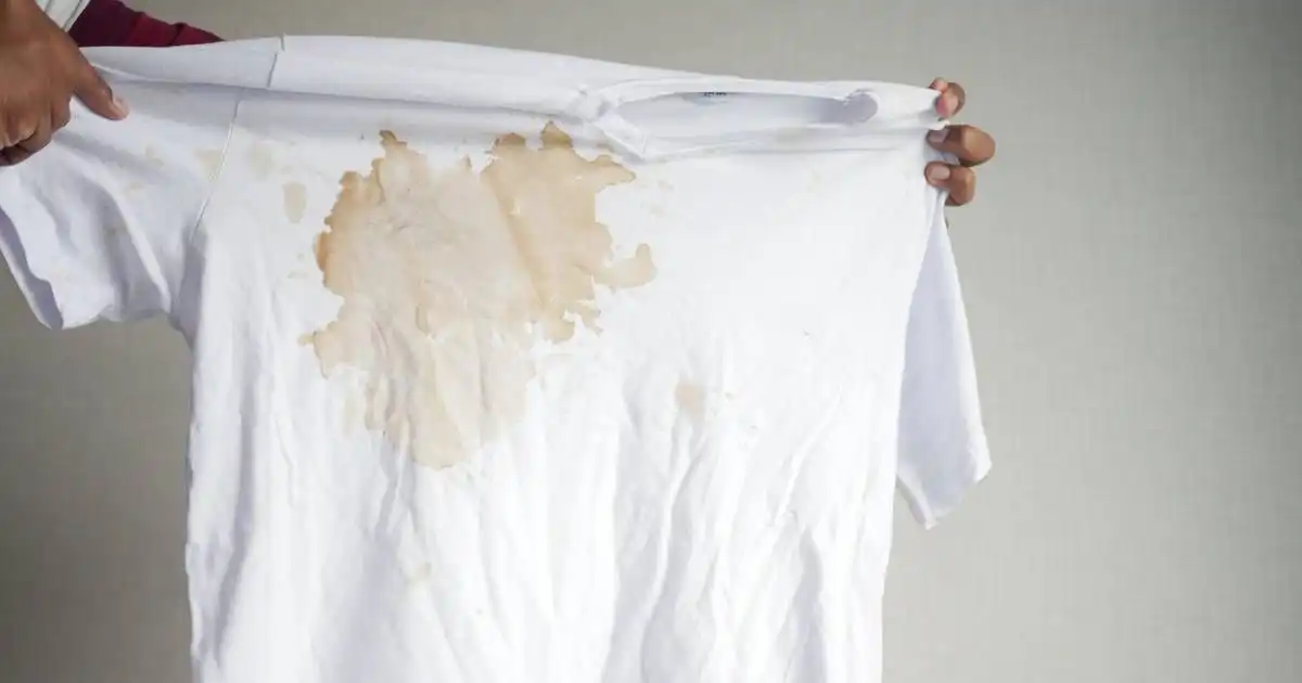 Cara Ampuh Menghilangkan Getah Nangka di Baju: 7 Trik Rumahan yang Aman untuk Serat Kain