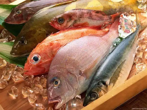 Cari Tahu Cara Memilih Ikan Segar untuk Keluarga di Rumah