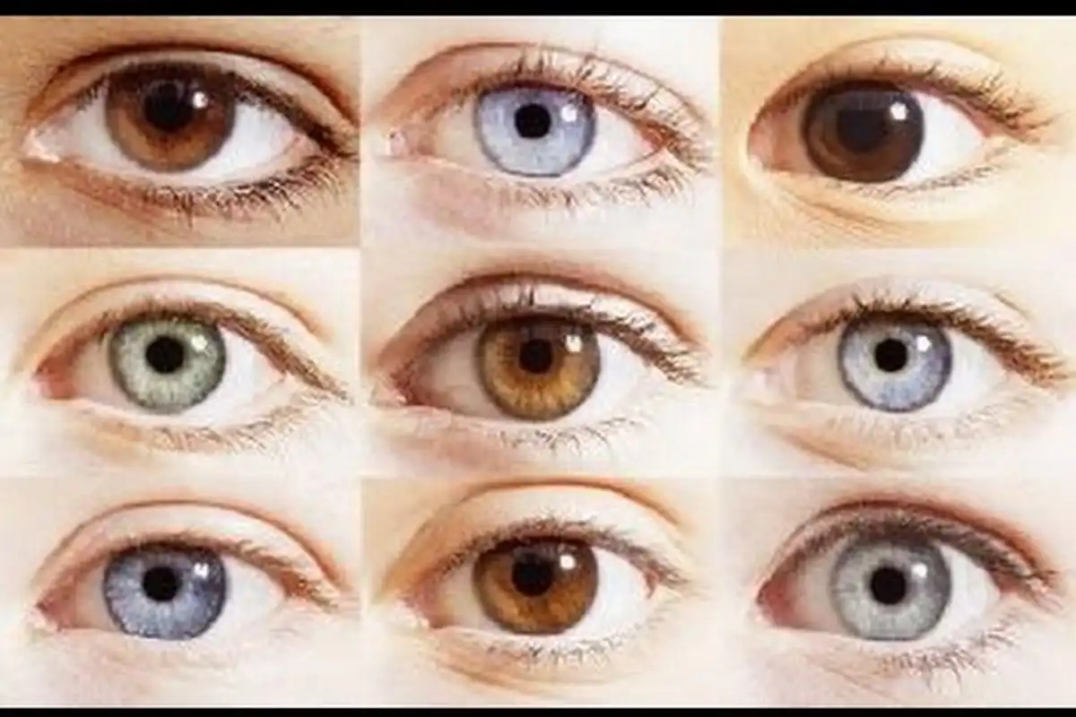 Kenapa Warna Mata Kita Nggak Cuma Hitam dan Cokelat?