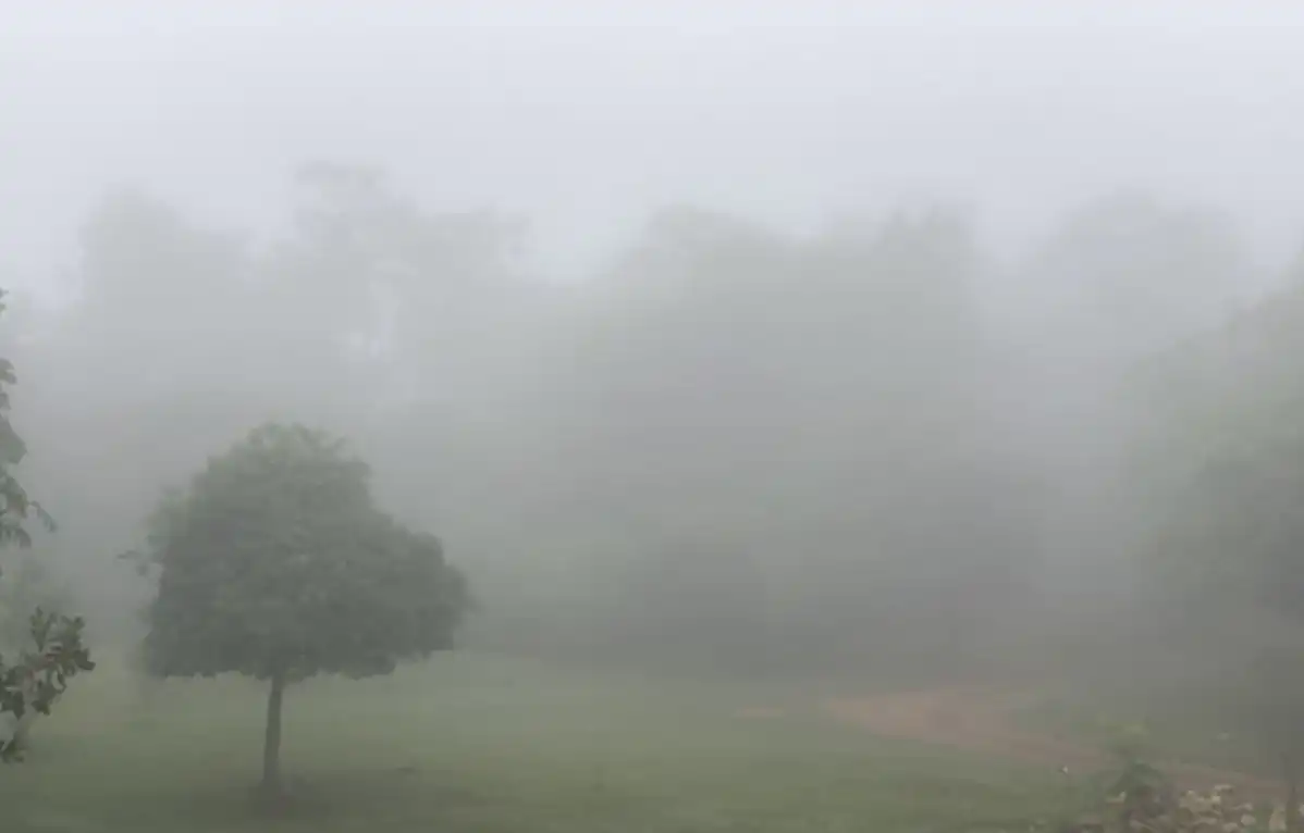 Kenapa Kabut Lebih Sering Muncul di Pagi Hari?