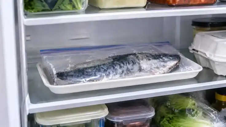 Mengapa Ikan yang Disimpan Bersama Bahan Makanan Lain Bisa Menimbulkan Aroma Amis di Kulkas?