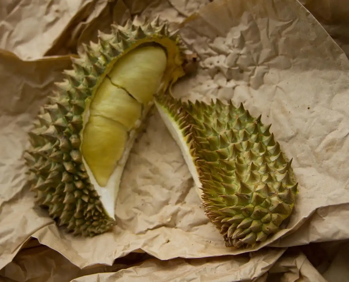 Pemanfaatan Biji dan Kulit Durian untuk Produk Bernilai Tambah