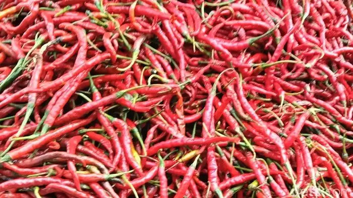 Harga Cabai Merah di Sumut Anjlok, Rata-rata Jauh di Bawah HET