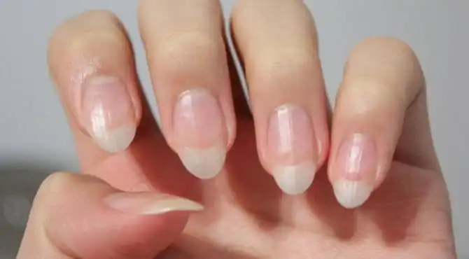 Misteri Sarang Setan di Balik Kuku Panjang 