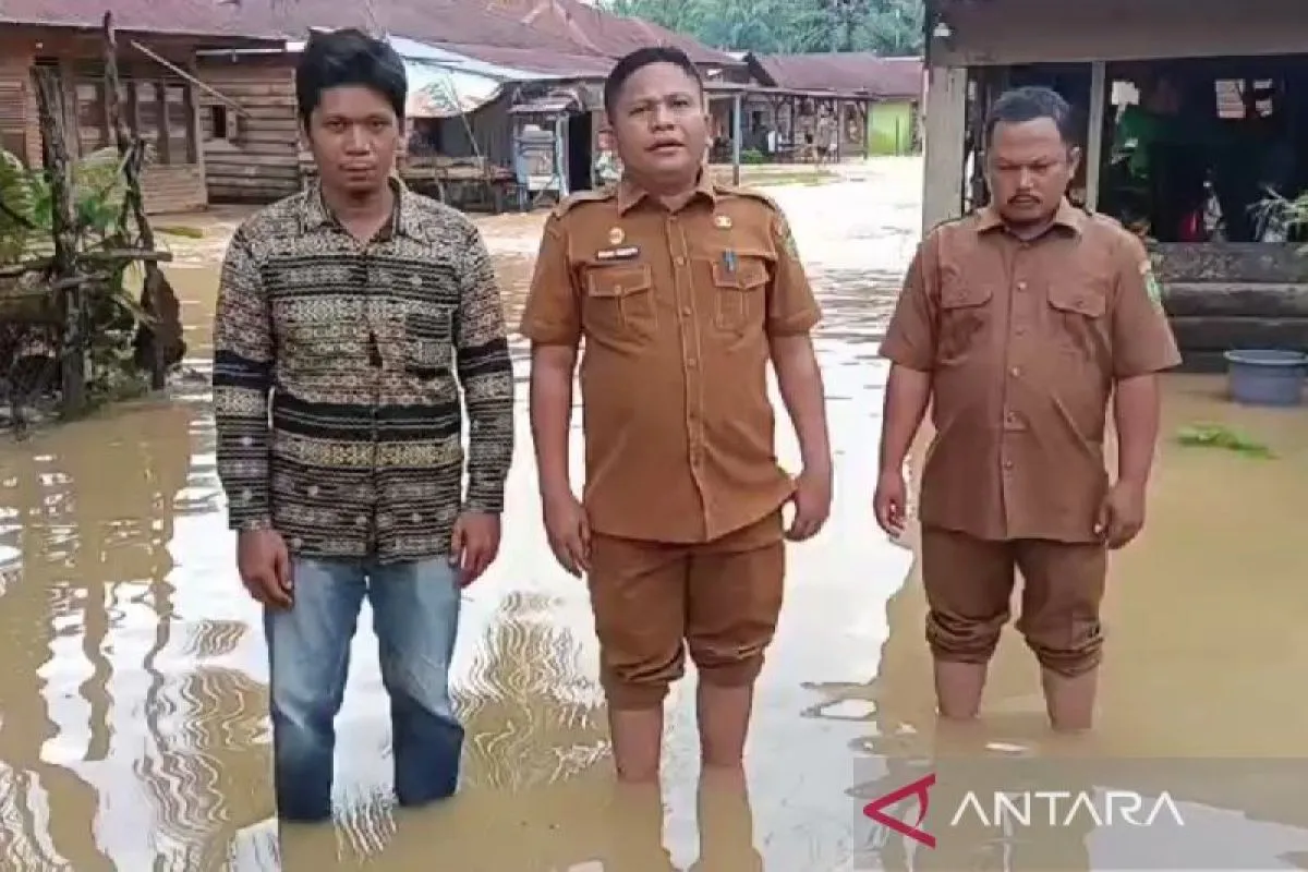 Luapan Sungai Sosa Rendam Tiga Desa di Kecamatan Sosa Julu Padang Lawas