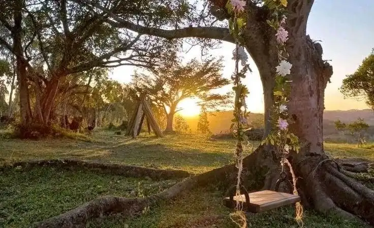 Ada Alasan Mengapa Angin Sore Terasa Lebih Menenangkan