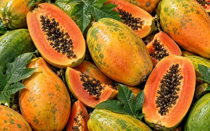 Apa Kandungan Vitamin C dalam Buah Pepaya dan Manfaatnya?