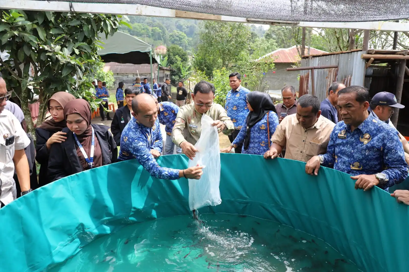Bupati Tapsel Serahkan Bantuan Bibit dan Pakan Ikan untuk Dukung Swasembada Ikan di Sipirok