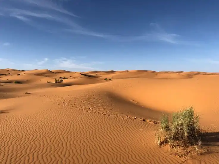 Fakta Menarik Tentang Gurun Sahara yang Jarang Diketahui