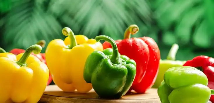 Mengenal Paprika, Si Cantik Berwarna Cerah yang Bukan Sekadar Hiasan Piring