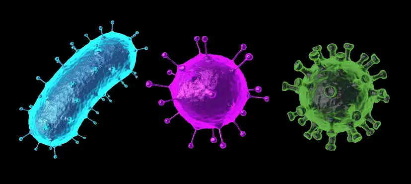 Suka bingung nggak? Virus dengan bakteri itu sama nggak sih?