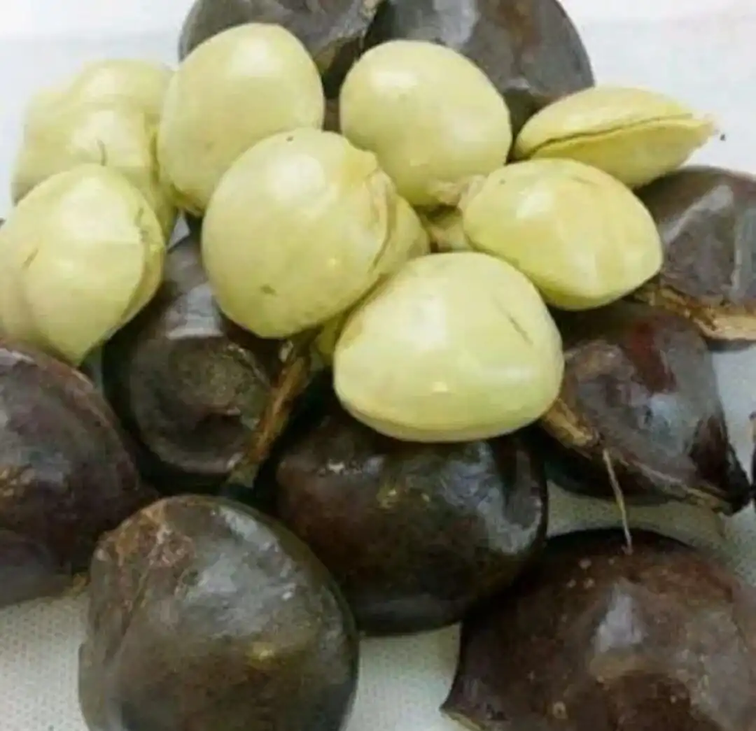Tips Makan Jengkol Tanpa Takut Bau Kamar Mandi